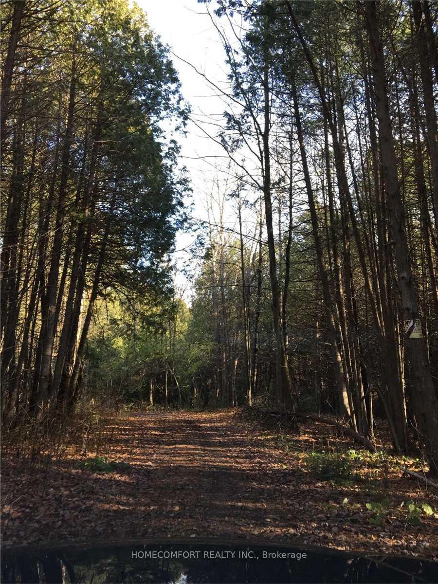 Photo 7 of Pt Lt23 Griffith Ave Road, Georgina, Pefferlaw — HOMEH