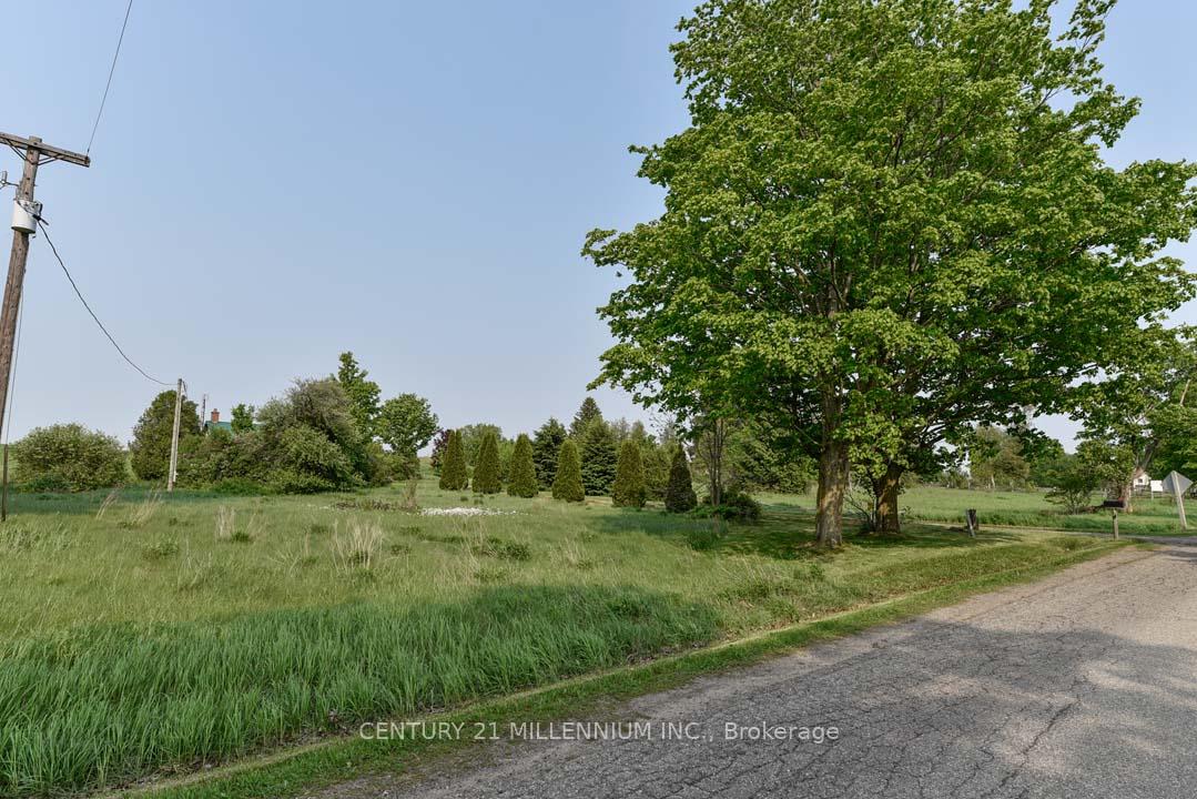 Photo 4 of 18323 Shaws Creek Road, Caledon, Rural Caledon — HOMEH
