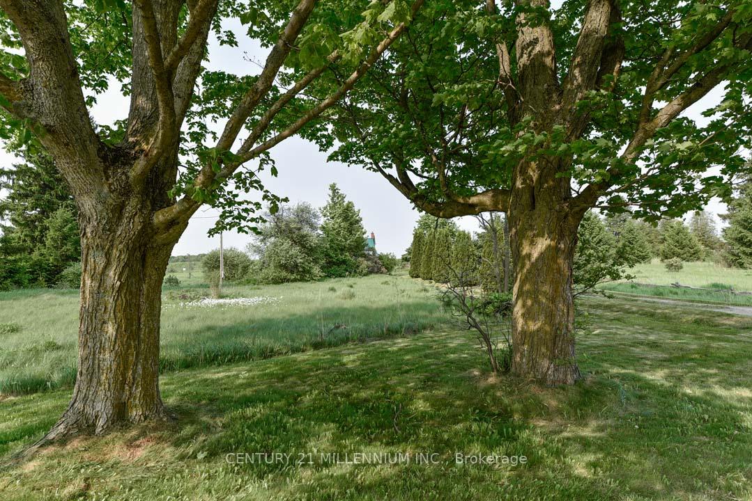 Photo 28 of 18323 Shaws Creek Road, Caledon, Rural Caledon — HOMEH