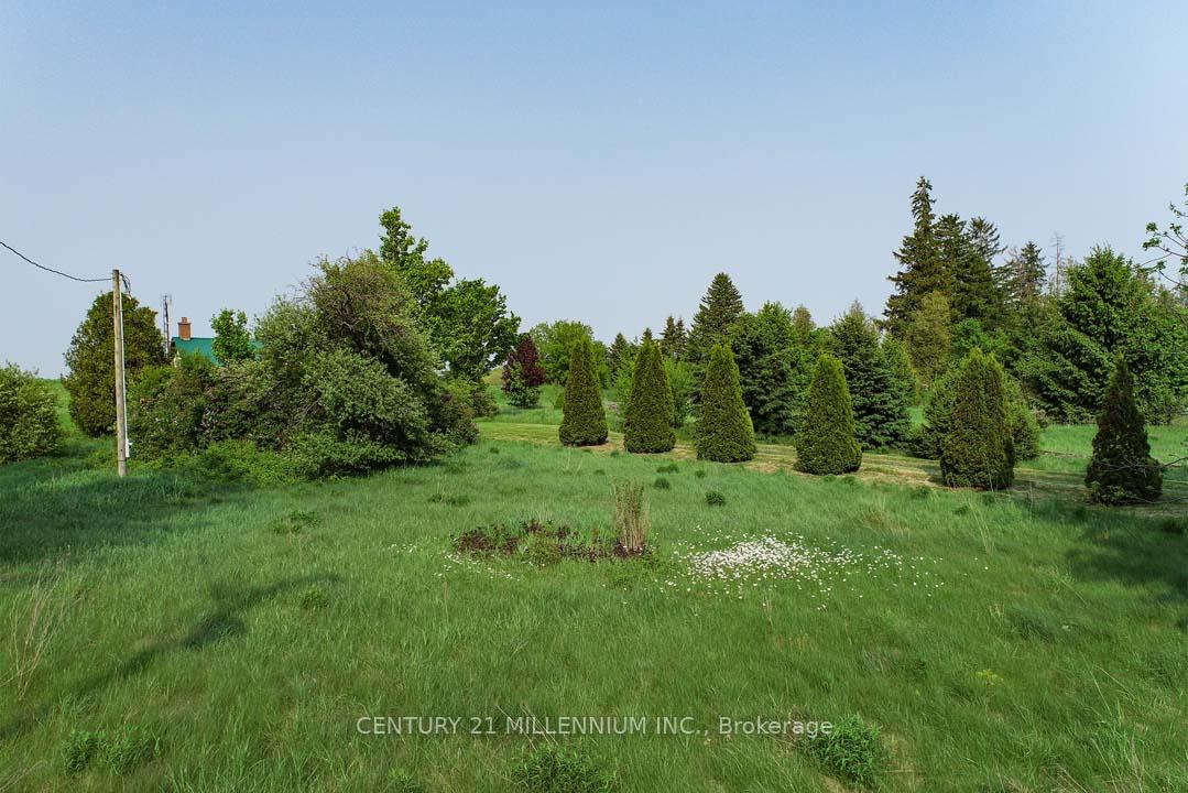 Photo 6 of 18323 Shaws Creek Road, Caledon, Rural Caledon — HOMEH