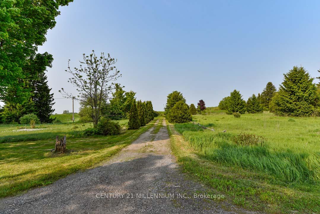 Photo 7 of 18323 Shaws Creek Road, Caledon, Rural Caledon — HOMEH