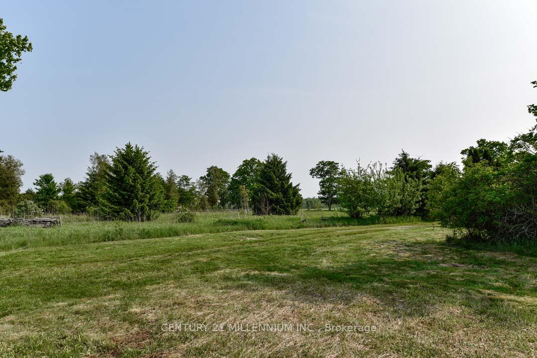 Photo 14 of 18323 Shaws Creek Road, Caledon, Rural Caledon — HOMEH