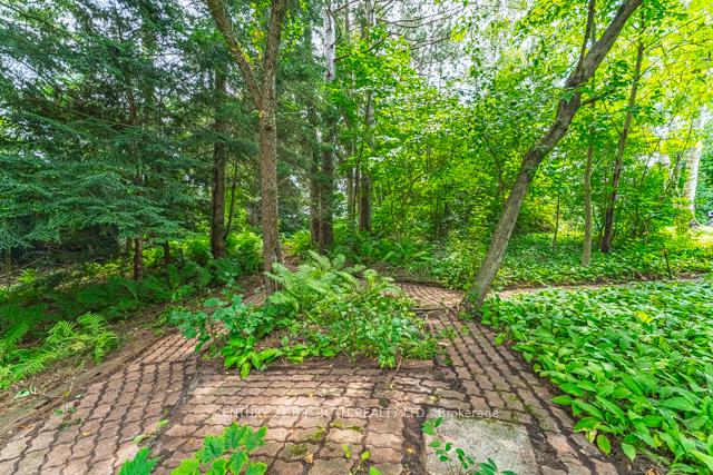 Photo 4 of 375 Lorne Street, Gravenhurst, Muskoka (S) — HOMEH