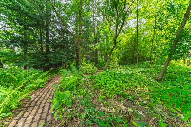Photo 7 of 375 Lorne Street, Gravenhurst, Muskoka (S) — HOMEH