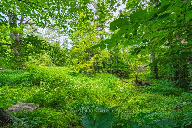 Photo 8 of 375 Lorne Street, Gravenhurst, Muskoka (S) — HOMEH