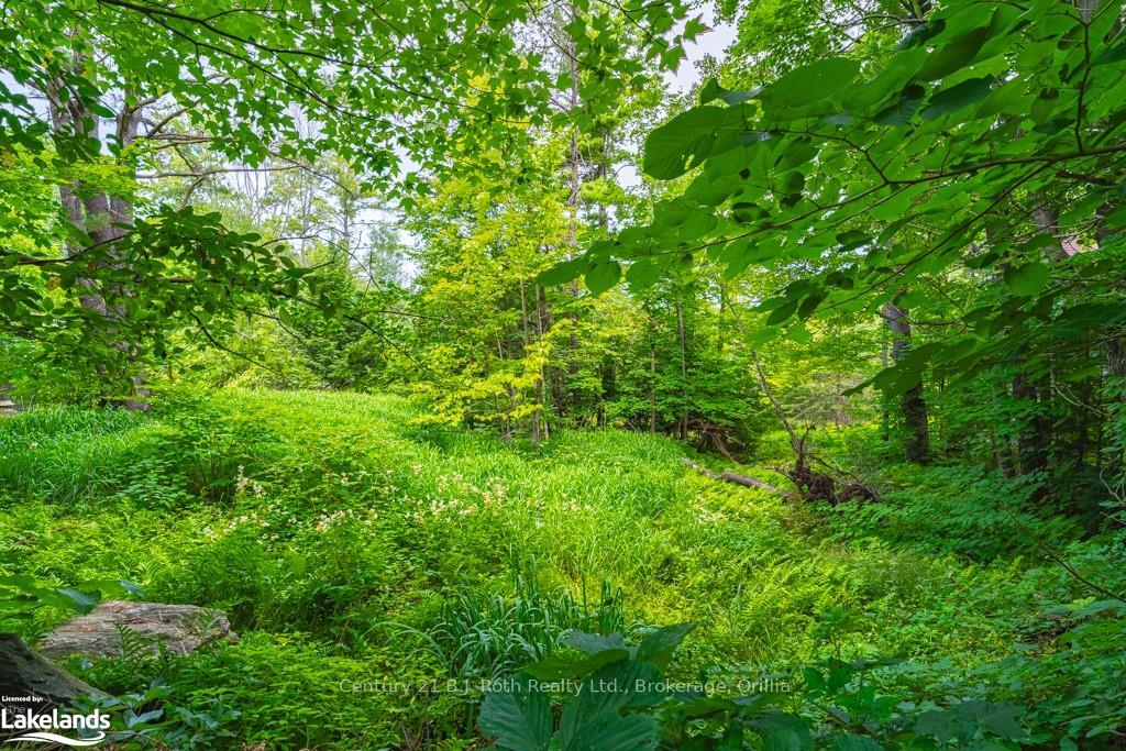 Photo 7 of 375 Lorne St Street, Gravenhurst, Muskoka (S) — HOMEH