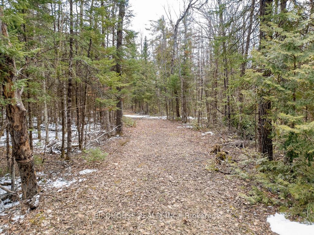 Photo 1 of PT LT 24-25 Birchview Road, Douro-Dummer — HOMEH