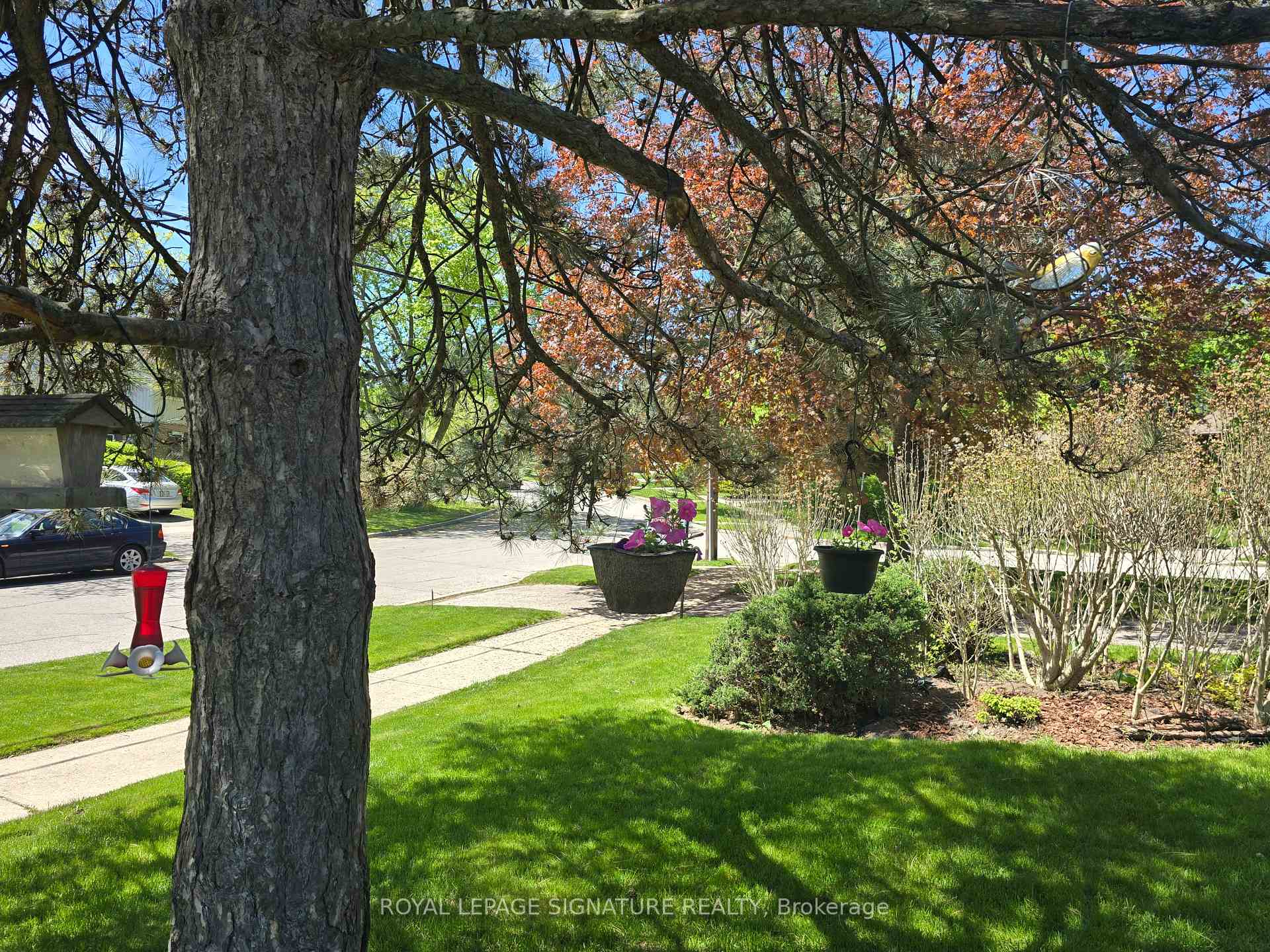 Photo 43 of 77 Botany Hill Road, Scarborough, Morningside — HOMEH