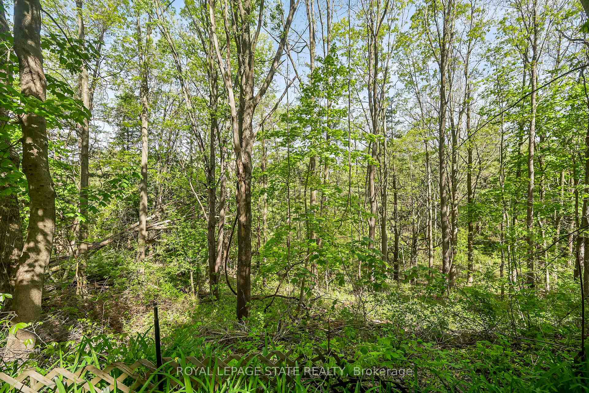 Photo 45 of 559 Westview Avenue, Hamilton, Ancaster — HOMEH