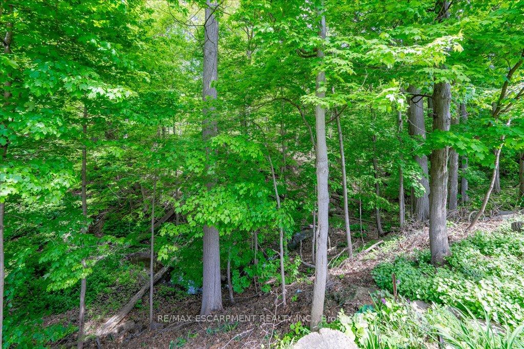 Photo 31 of 31 Forestview Drive, Hamilton, Cootes Paradise — HOMEH