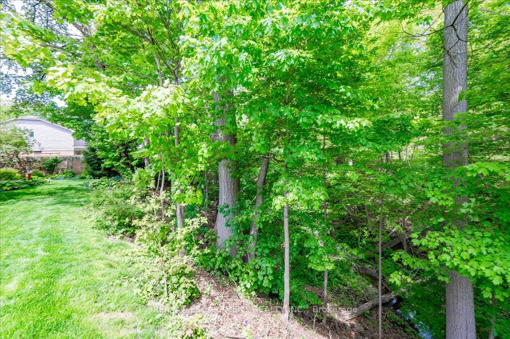 Photo 39 of 31 Forestview Drive, Hamilton, Cootes Paradise — HOMEH