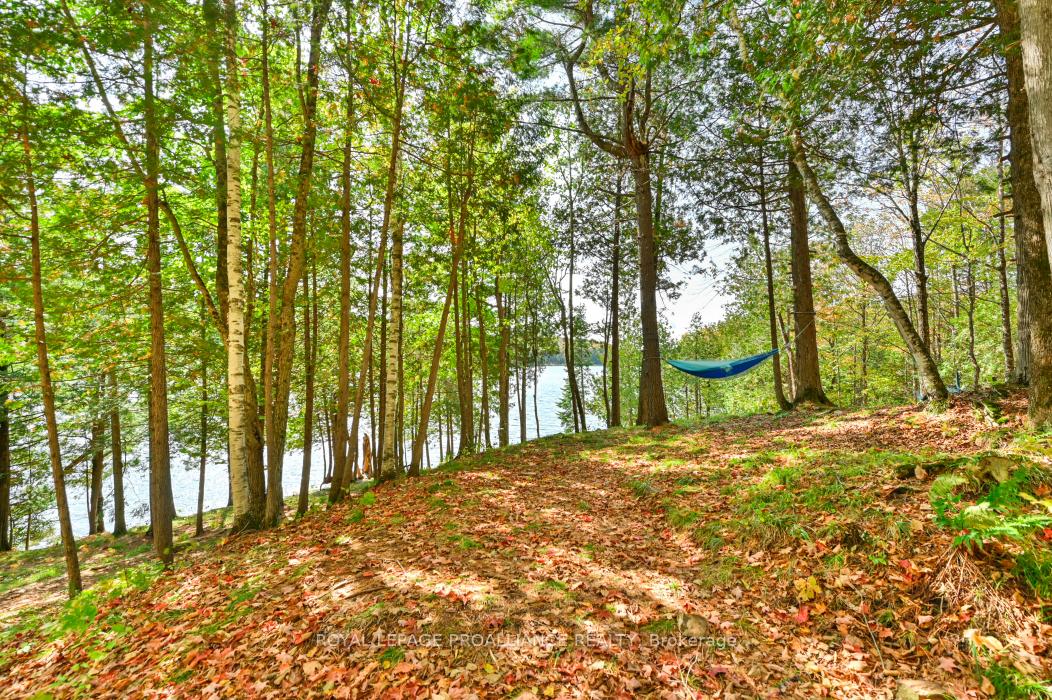 Photo 10 of Swaugers Lake Road, Frontenac, Frontenac North — HOMEH
