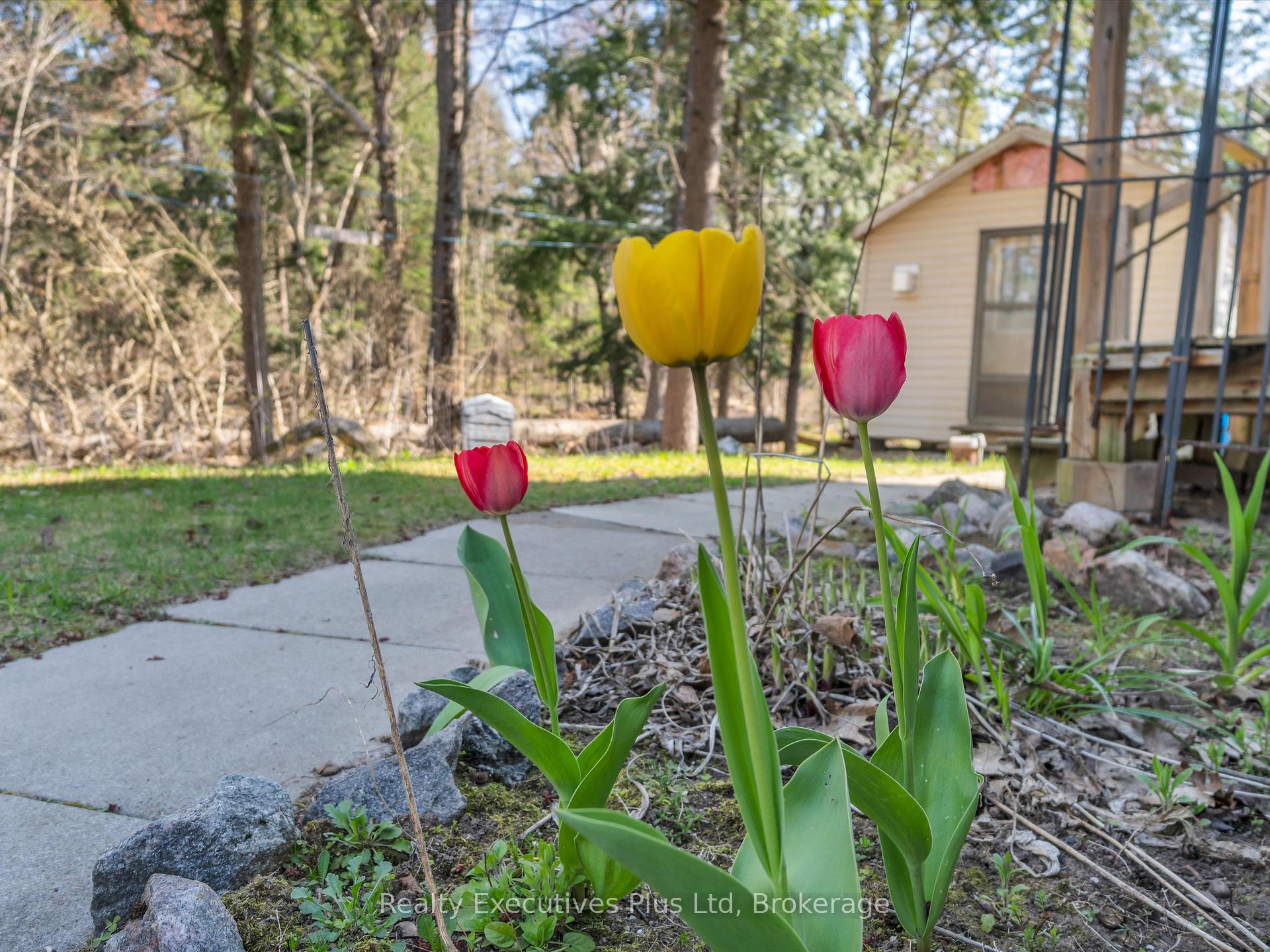 Photo 8 of 152 Moonwing Road, Magnetawan, Ahmic Harbour — HOMEH
