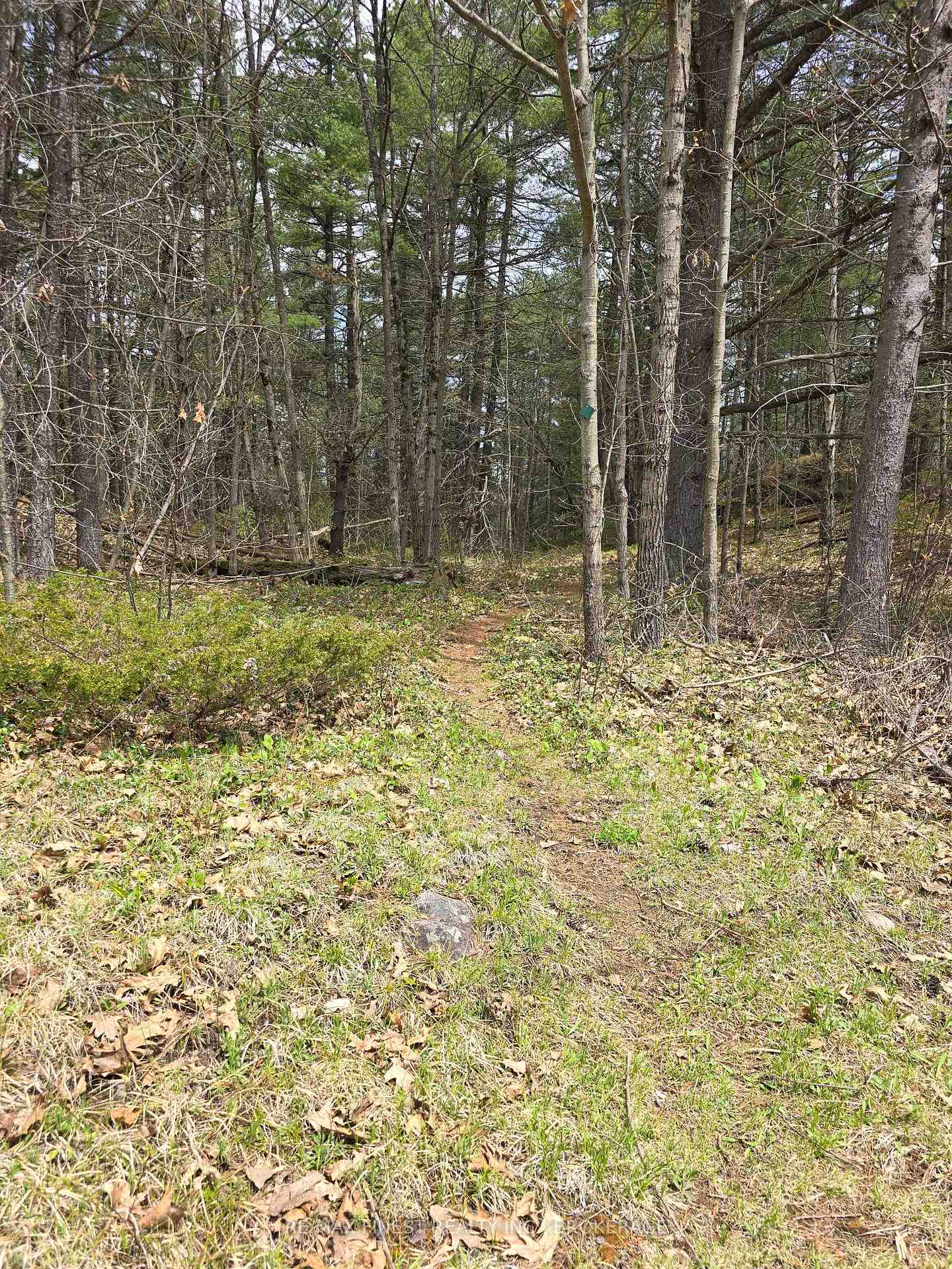 Photo 5 of Ardoch Road, North Frontenac, Frontenac North — HOMEH
