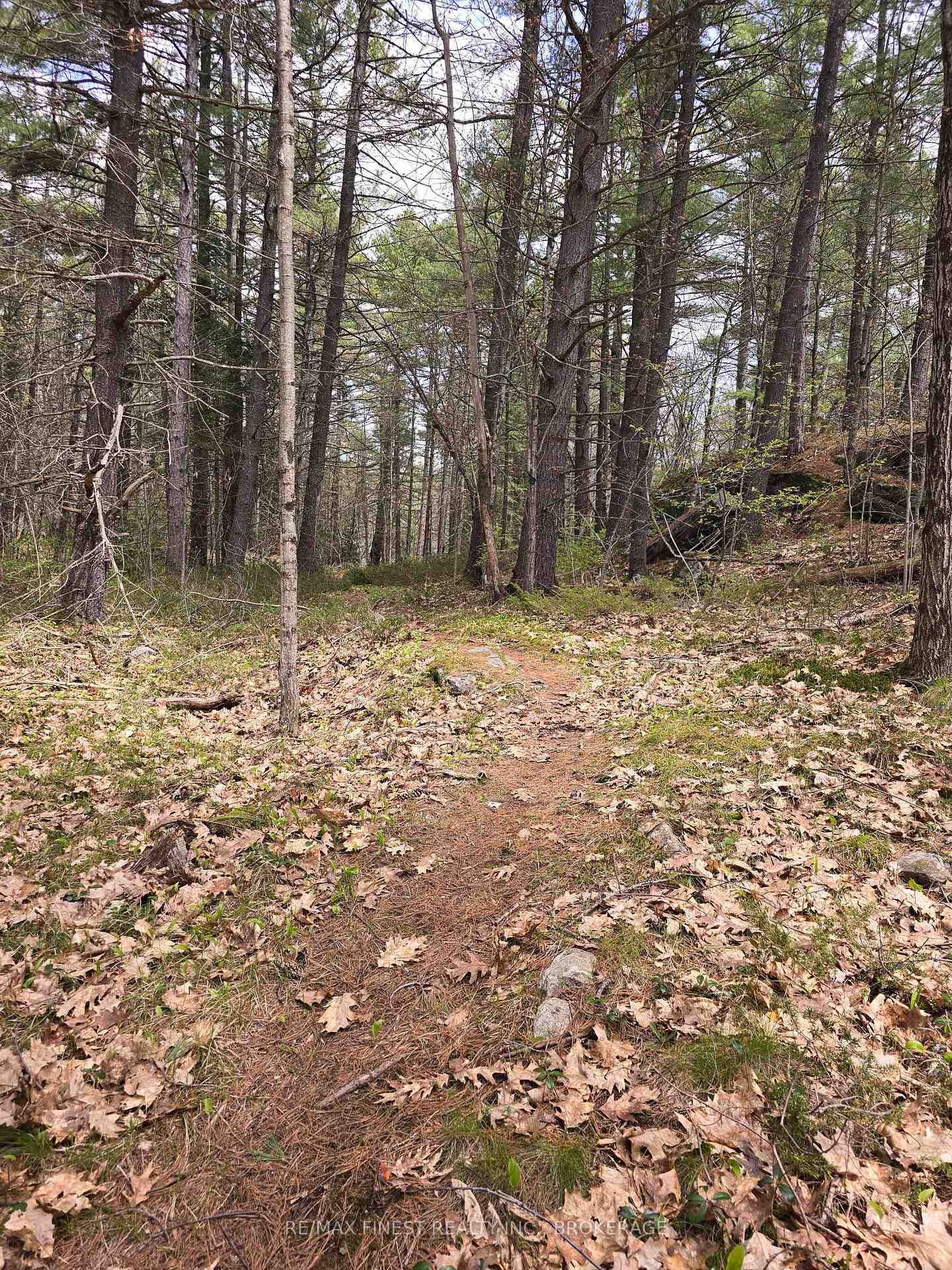 Photo 6 of Ardoch Road, North Frontenac, Frontenac North — HOMEH