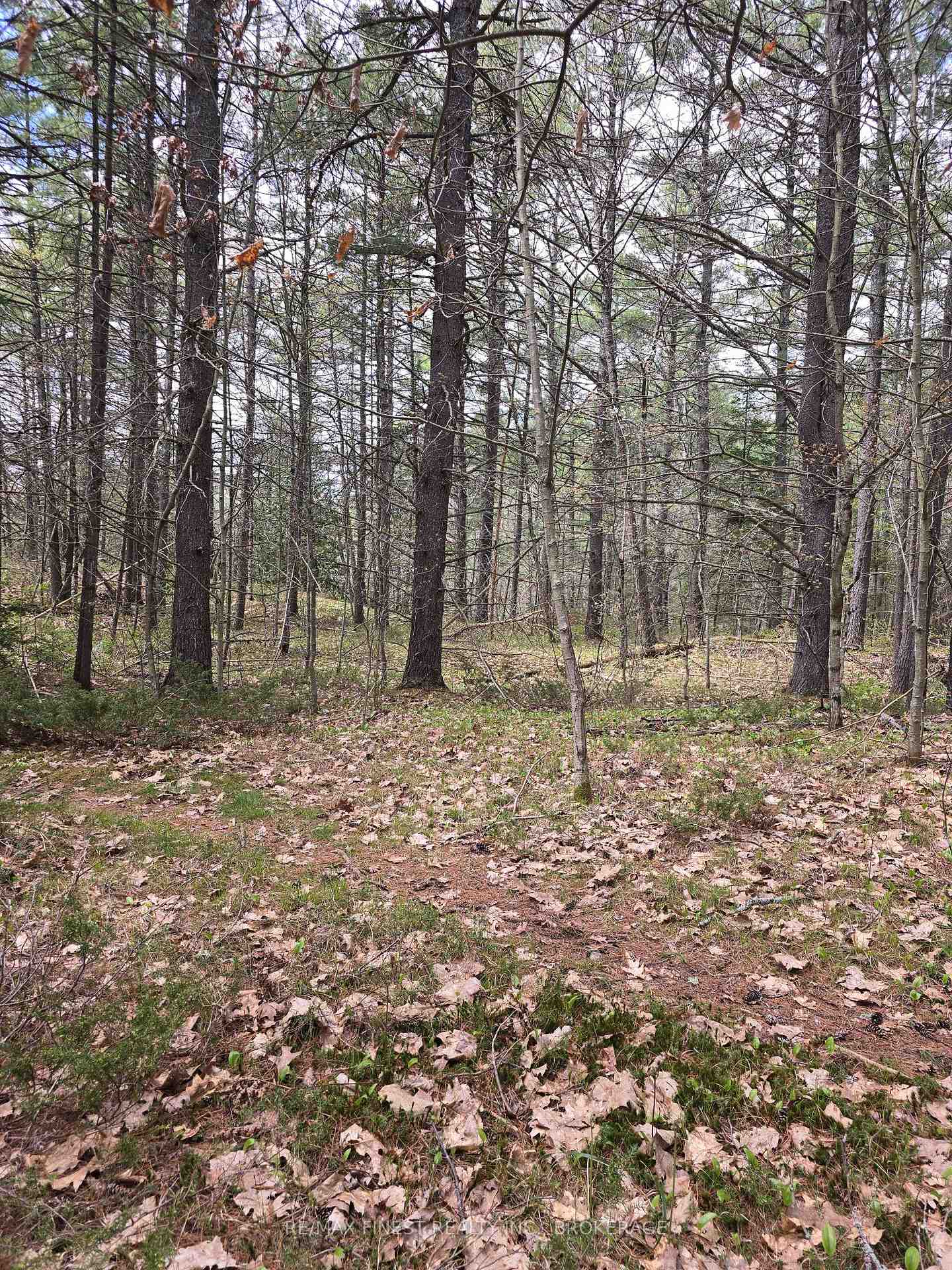Photo 7 of Ardoch Road, North Frontenac, Frontenac North — HOMEH