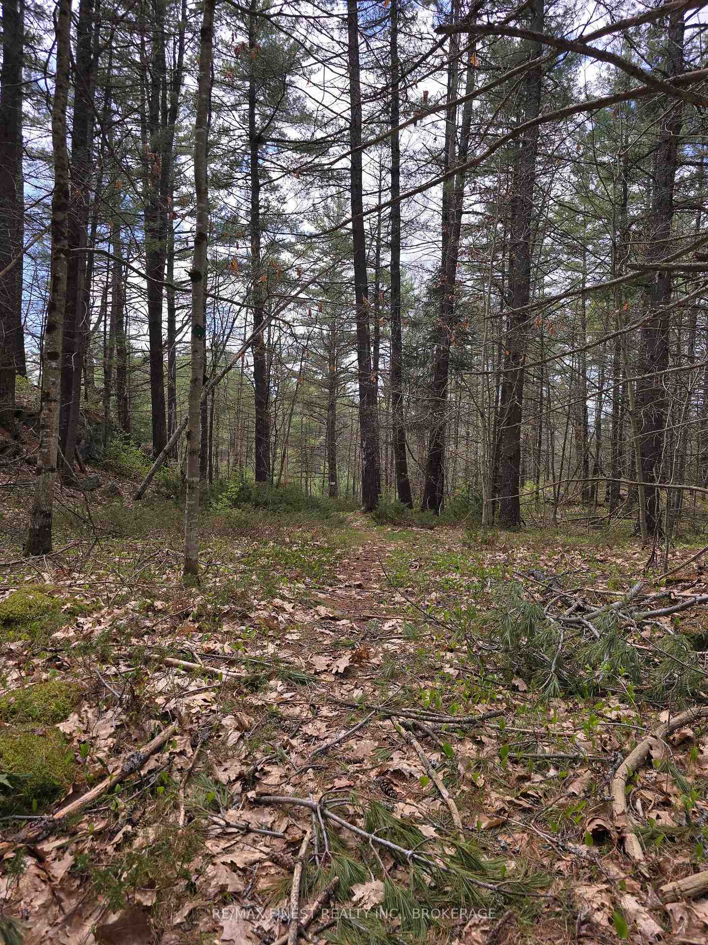 Photo 8 of Ardoch Road, North Frontenac, Frontenac North — HOMEH