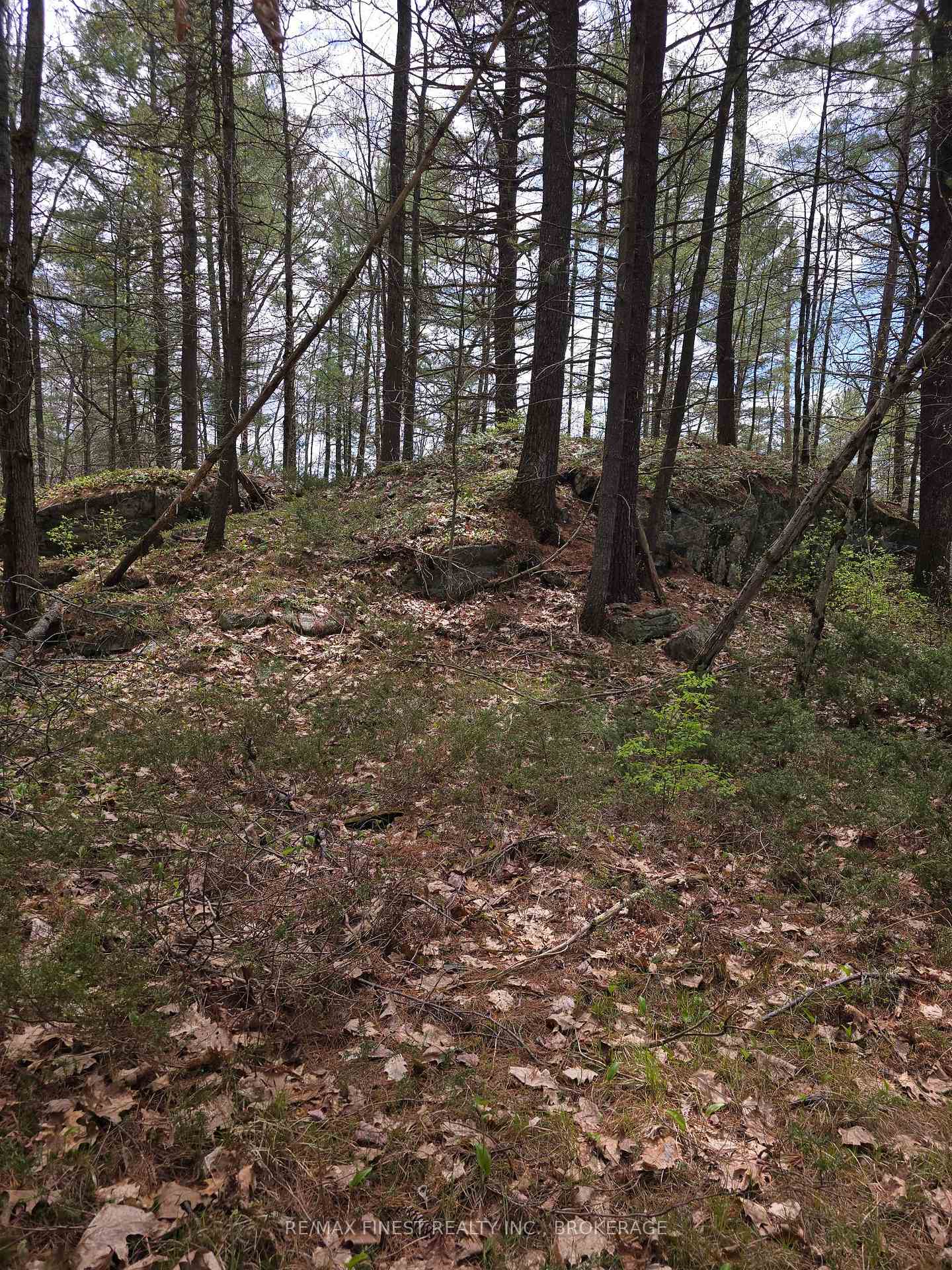Photo 9 of Ardoch Road, North Frontenac, Frontenac North — HOMEH