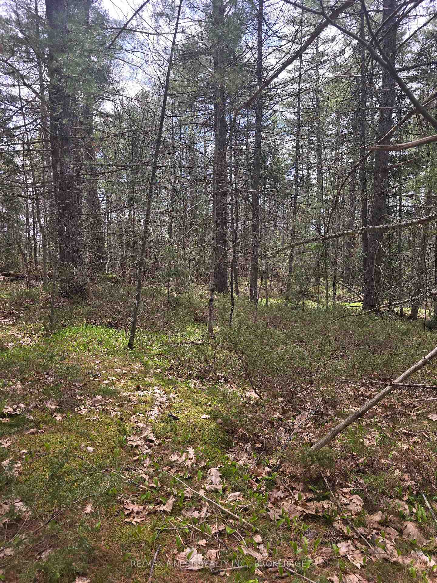 Photo 12 of Ardoch Road, North Frontenac, Frontenac North — HOMEH