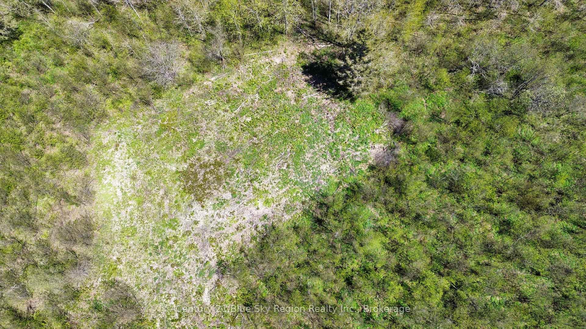 Photo 5 of 98 De La Montee Road, West Nipissing, Field — HOMEH