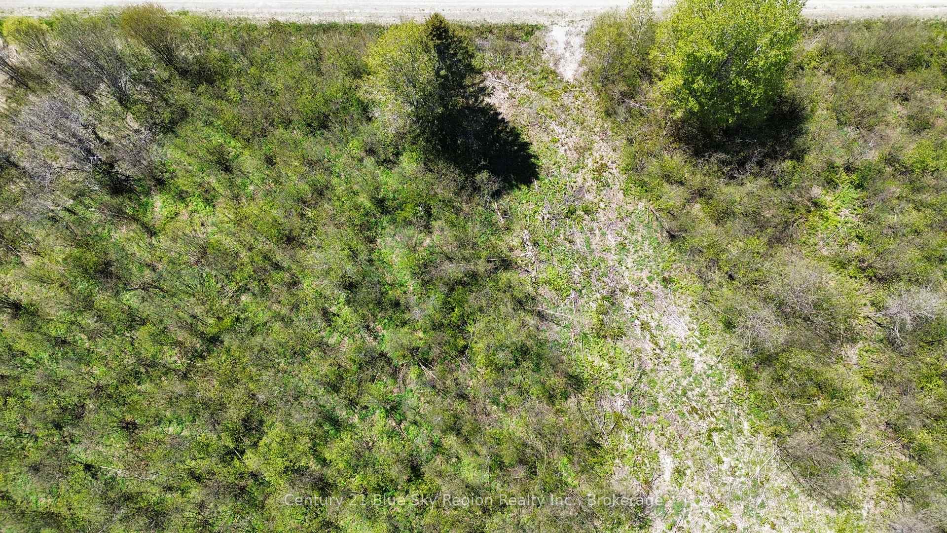 Photo 6 of 98 De La Montee Road, West Nipissing, Field — HOMEH