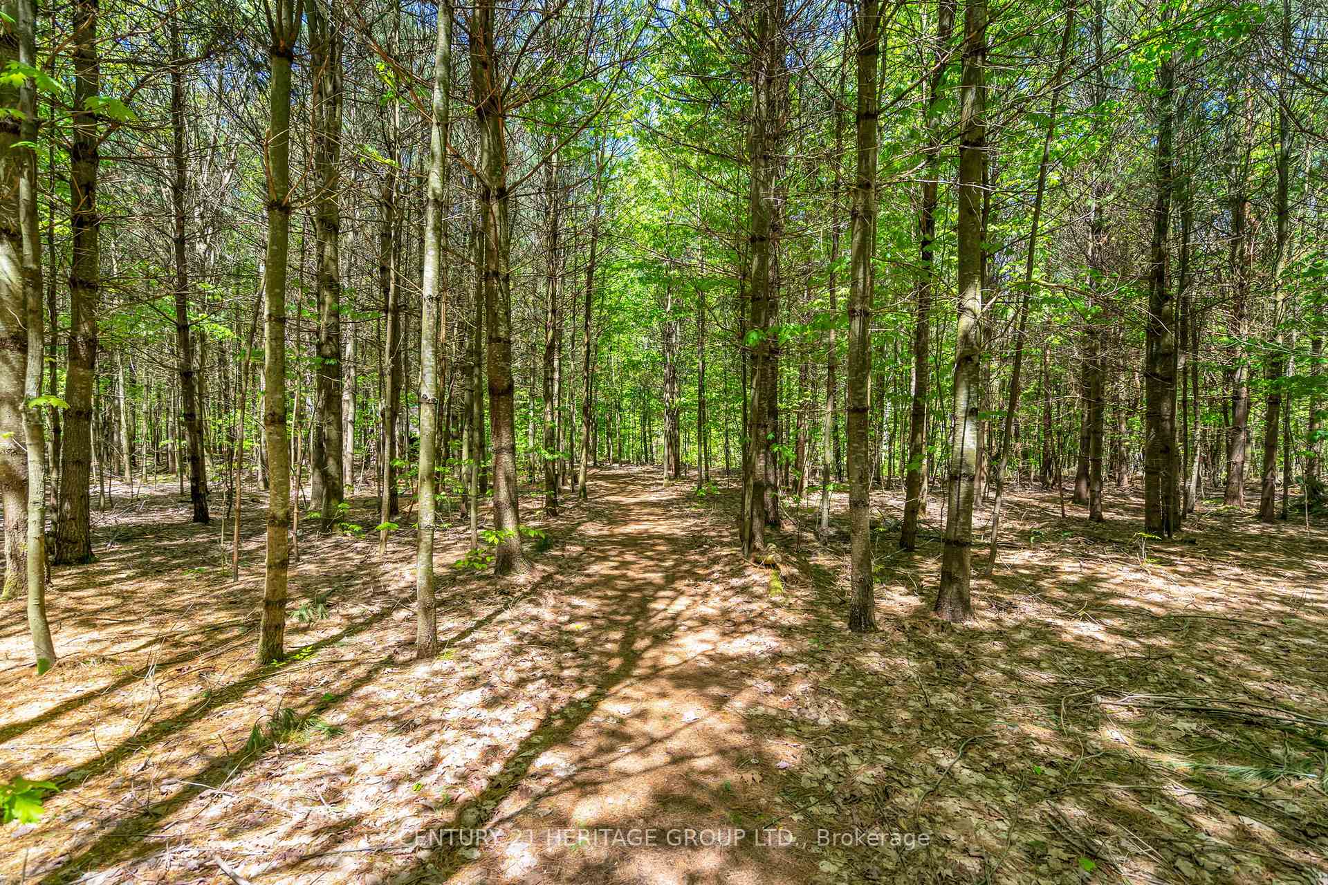Photo 39 of 5745 Line 3 N, Oro-Medonte, Rural Oro-Medonte — HOMEH