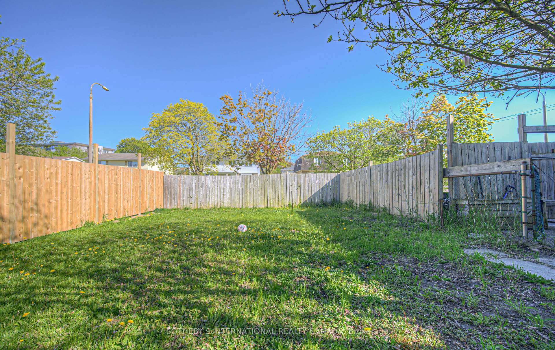 Photo 33 of 24B Amos Avenue, Waterloo — HOMEH