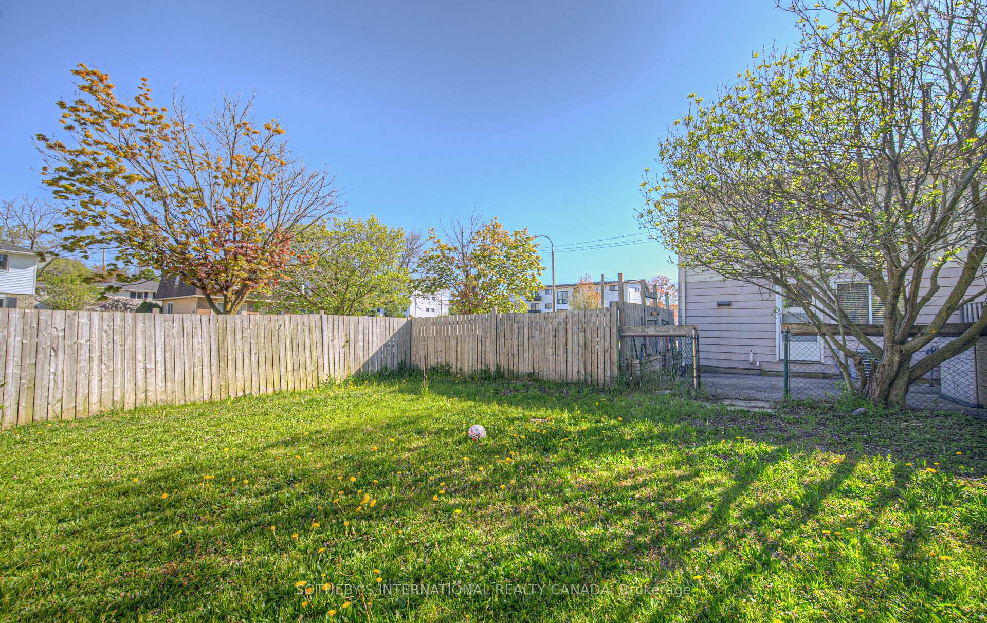 Photo 40 of 24B Amos Avenue, Waterloo — HOMEH