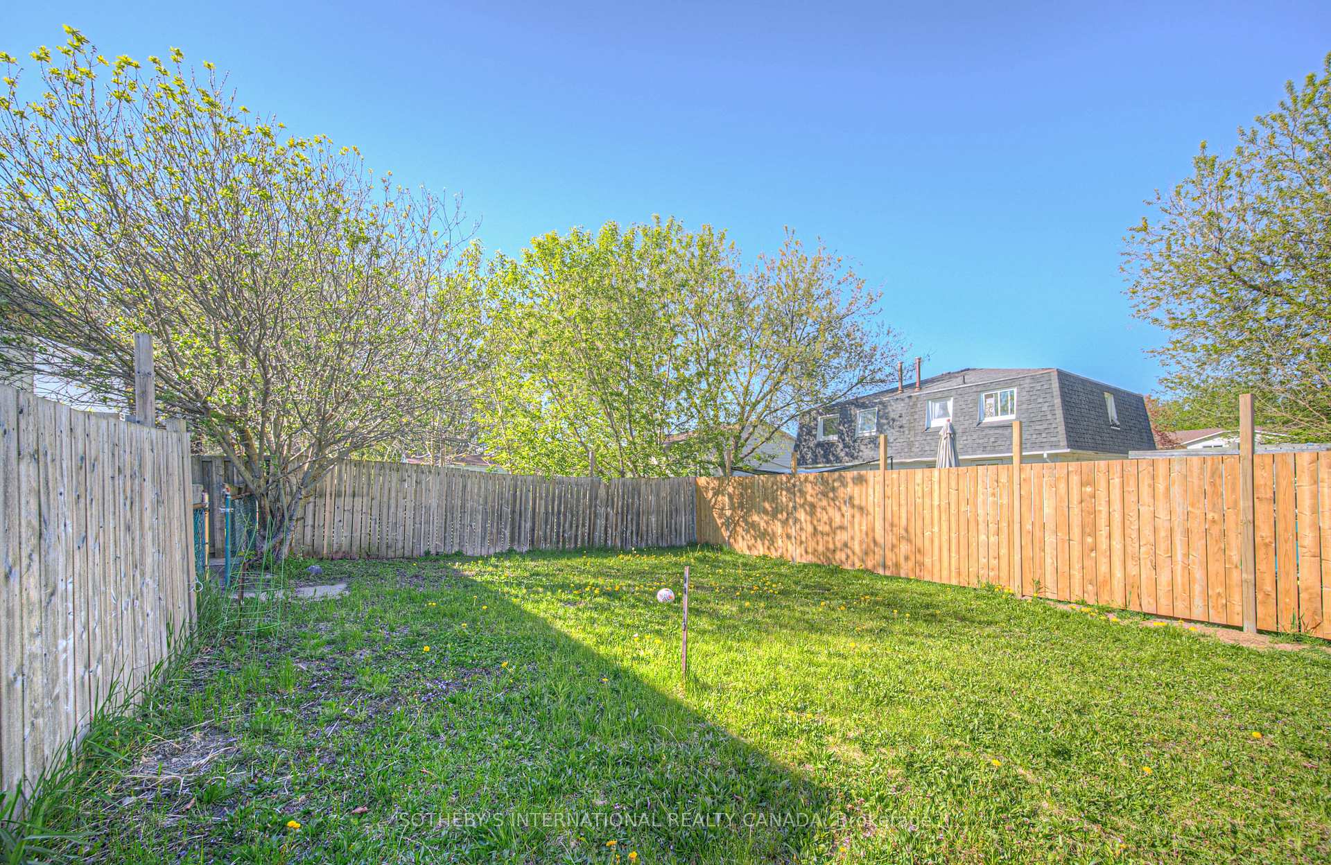 Photo 35 of 24B Amos Avenue, Waterloo — HOMEH