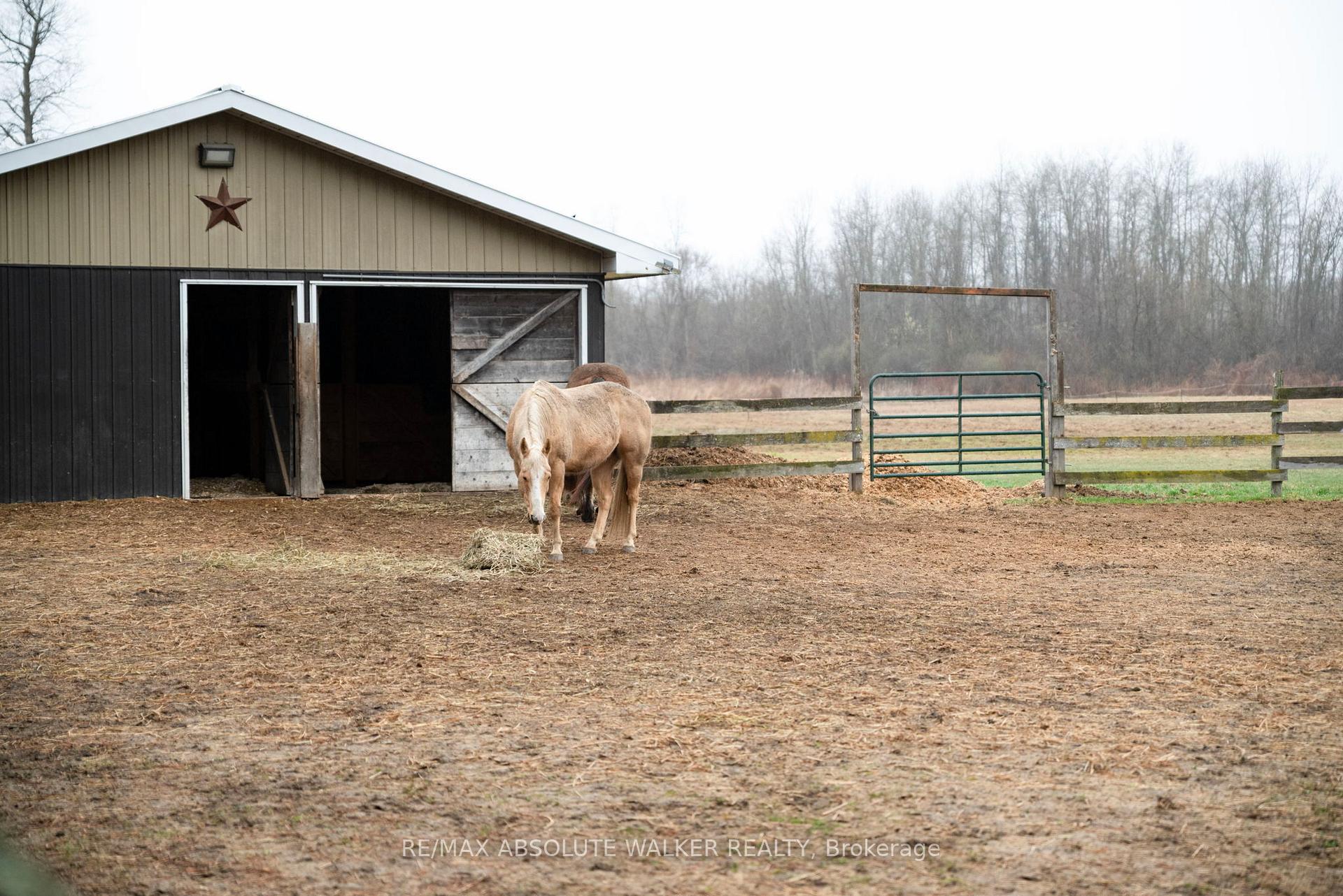 Photo 34 of 3062 Joys Road, Ottawa, Btwn Franktown Rd. & Fallowfield Rd. — HOMEH