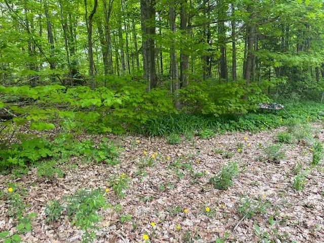 Photo 3 of 692 Upper Oak Leaf Road, Athens, R of Yonge & Escott Twp — HOMEH