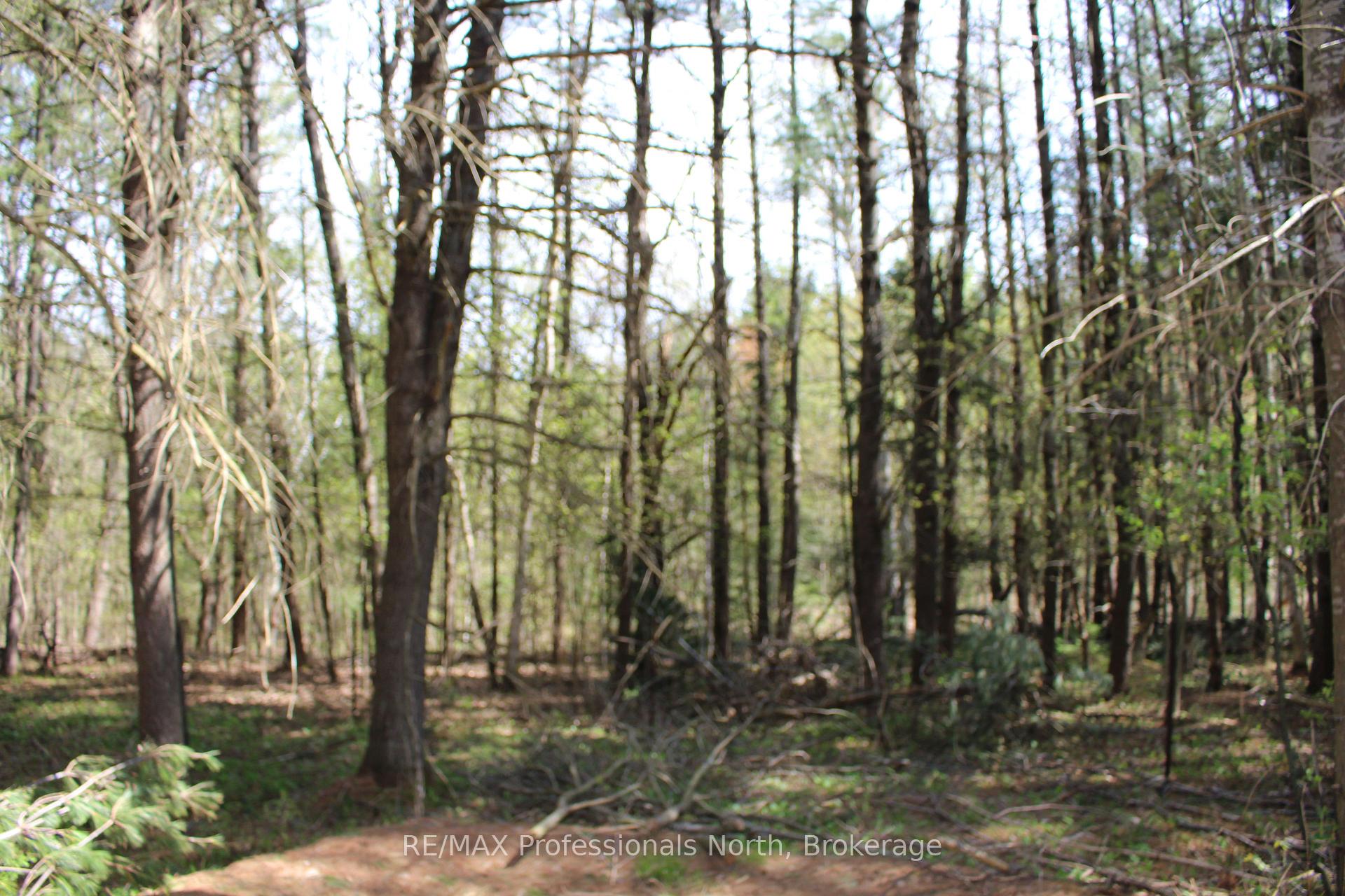 Photo 5 of Ingoldsby Road, Minden Hills, Minden — HOMEH