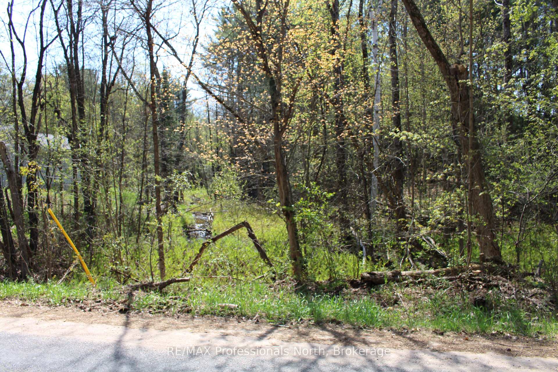 Photo 7 of Ingoldsby Road, Minden Hills, Minden — HOMEH