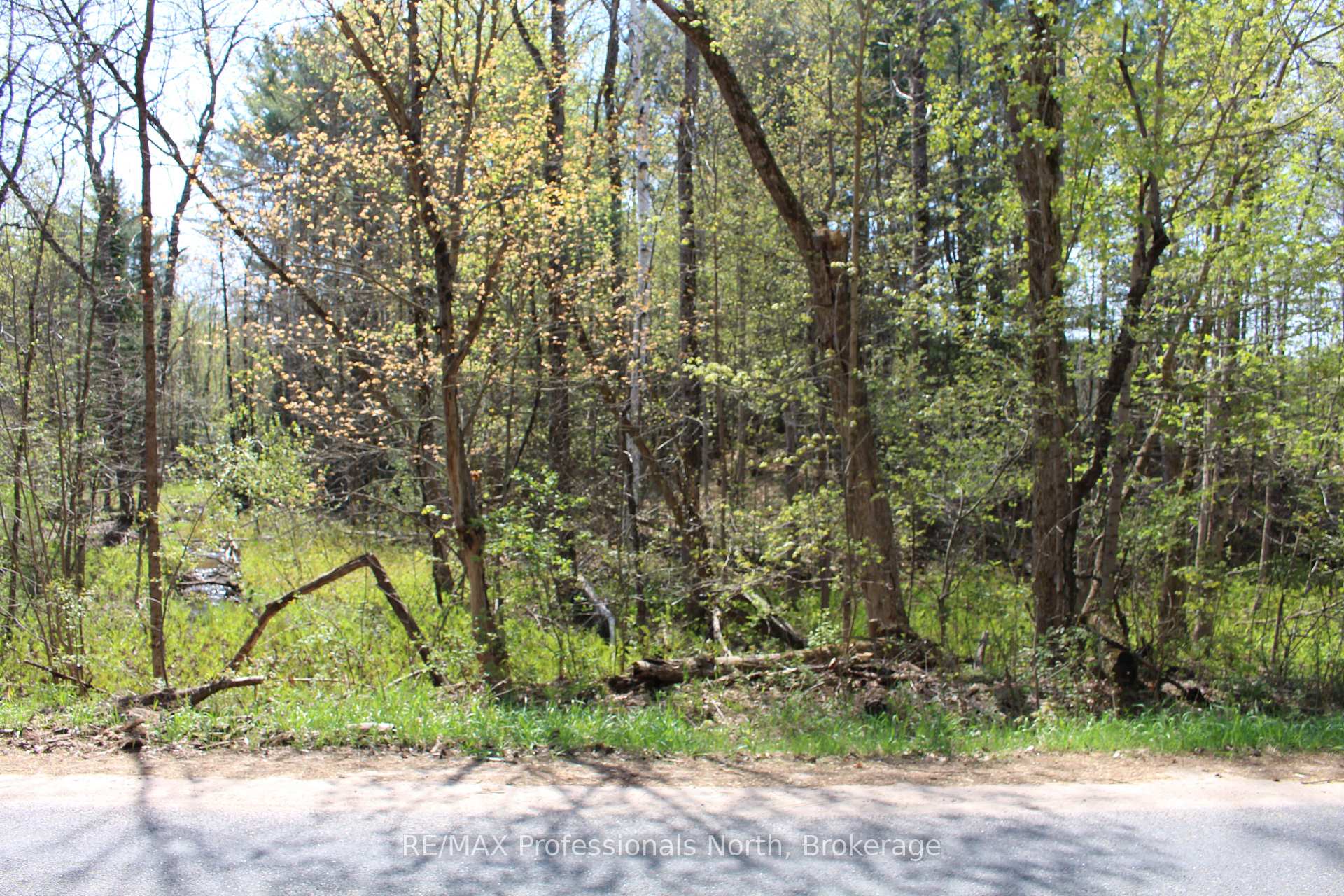 Photo 6 of Ingoldsby Road, Minden Hills, Minden — HOMEH