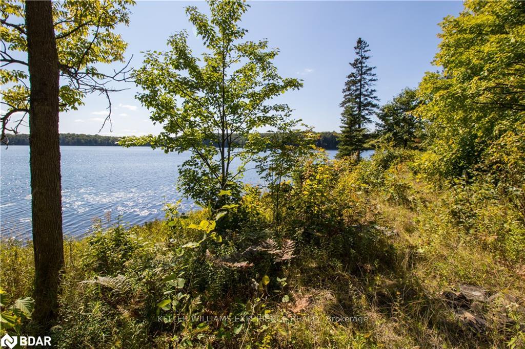 Photo 7 of 56 Dauncey Road, Magnetawan, Spence — HOMEH