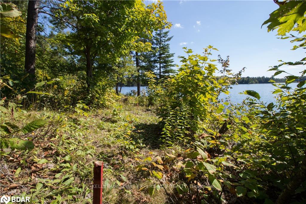 Photo 19 of 56 Dauncey Road, Magnetawan, Spence — HOMEH
