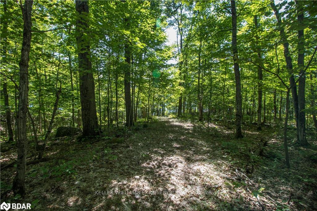 Photo 13 of 56 Dauncey Road, Magnetawan, Spence — HOMEH