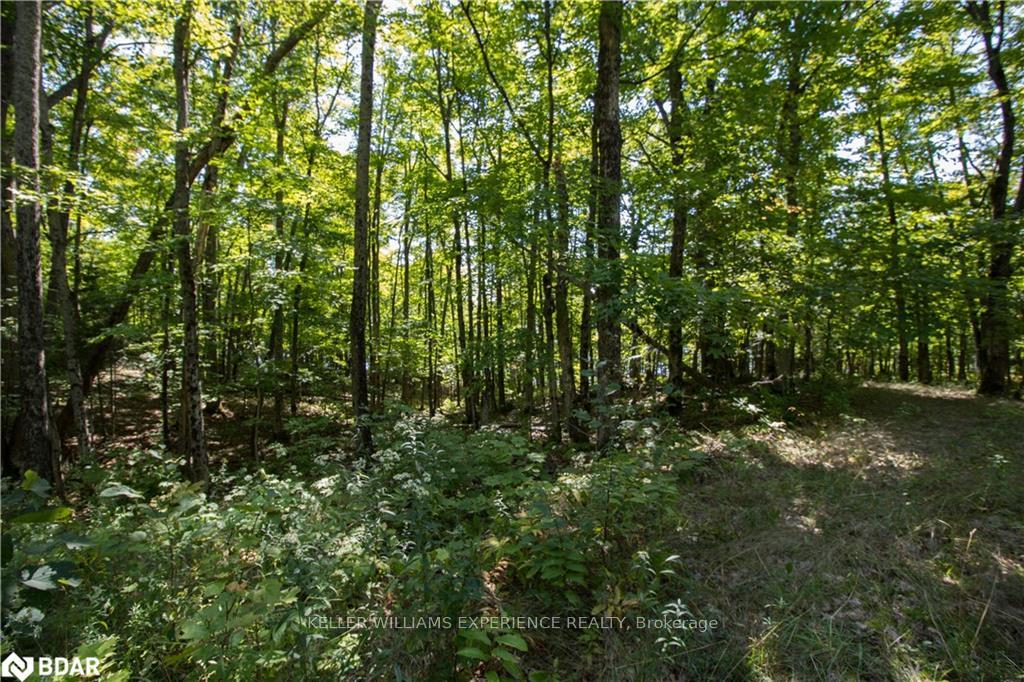 Photo 14 of 56 Dauncey Road, Magnetawan, Spence — HOMEH