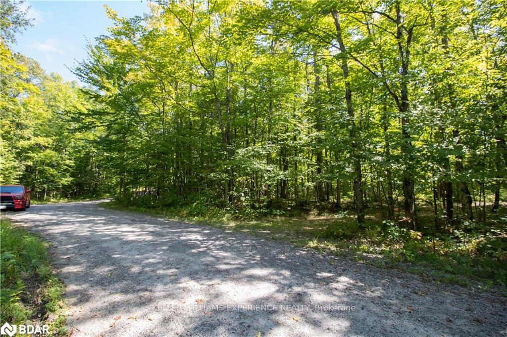 Photo 16 of 56 Dauncey Road, Magnetawan, Spence — HOMEH