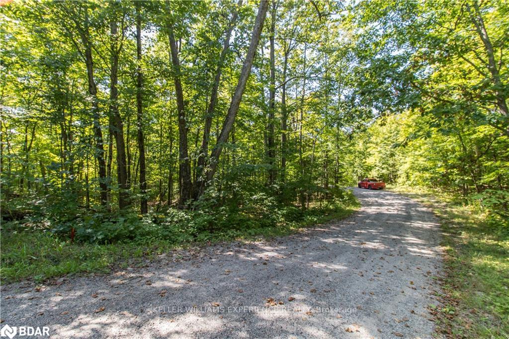 Photo 20 of 56 Dauncey Road, Magnetawan, Spence — HOMEH