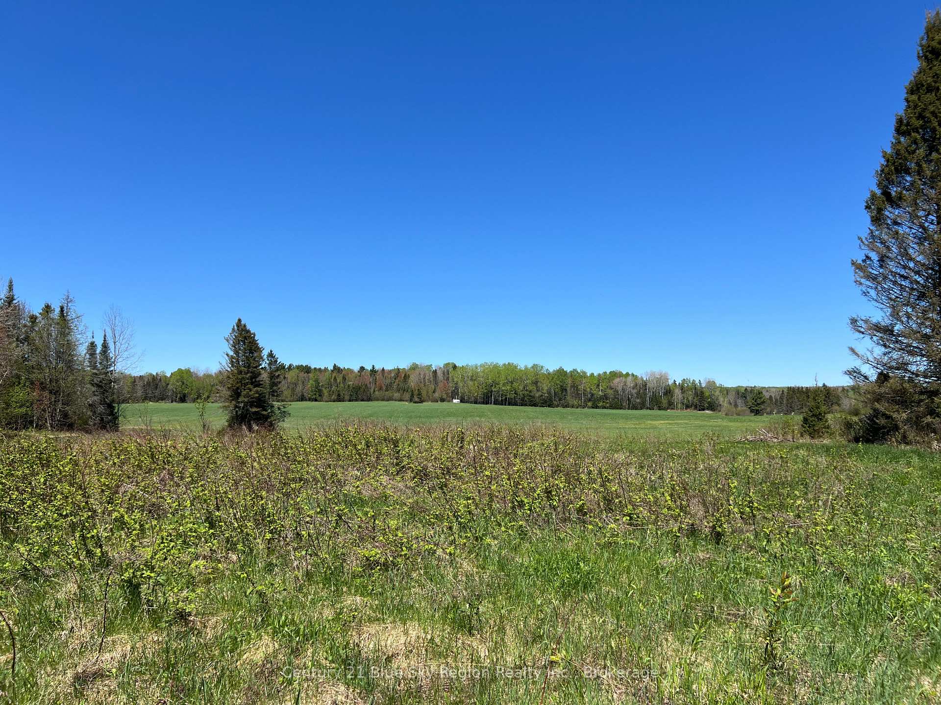 Photo 2 of LOT 26 CON 9 Trunk Road, Bonfield — HOMEH