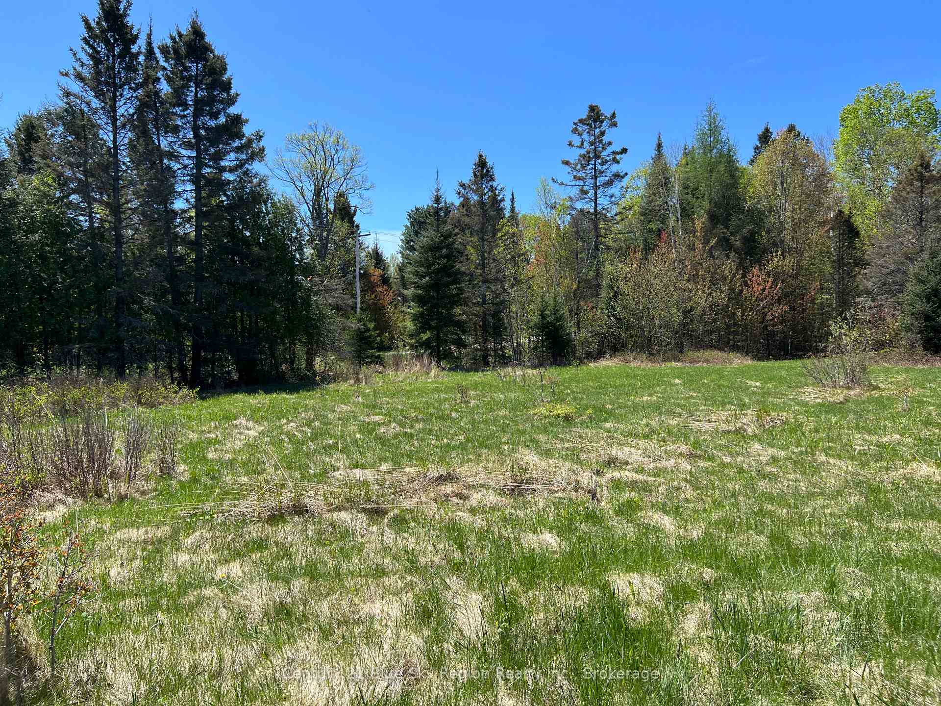 Photo 8 of LOT 26 CON 9 Trunk Road, Bonfield — HOMEH