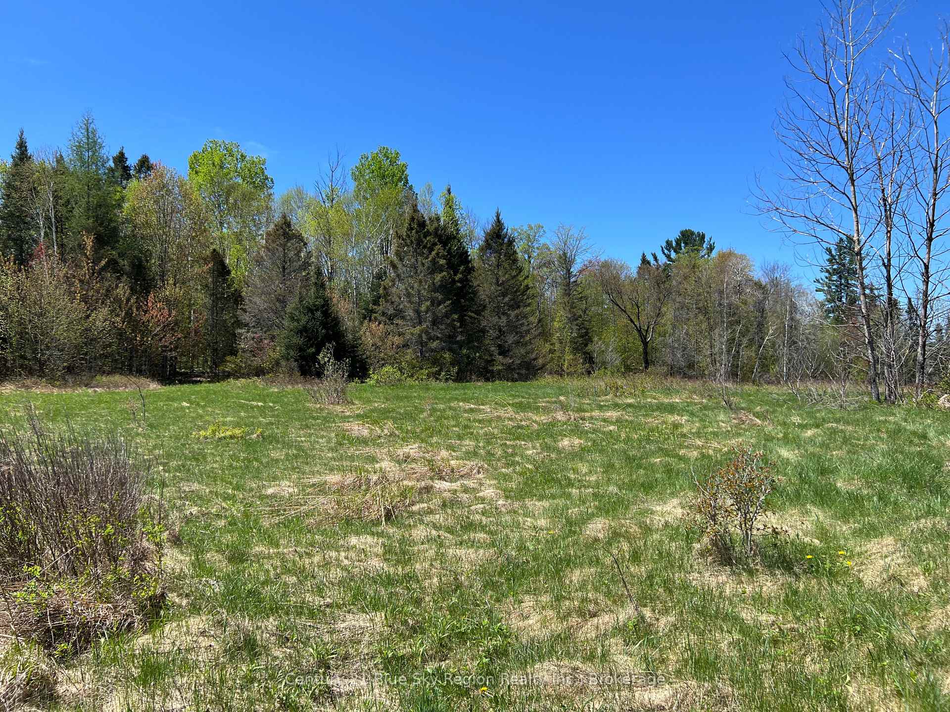 Photo 5 of LOT 26 CON 9 Trunk Road, Bonfield — HOMEH