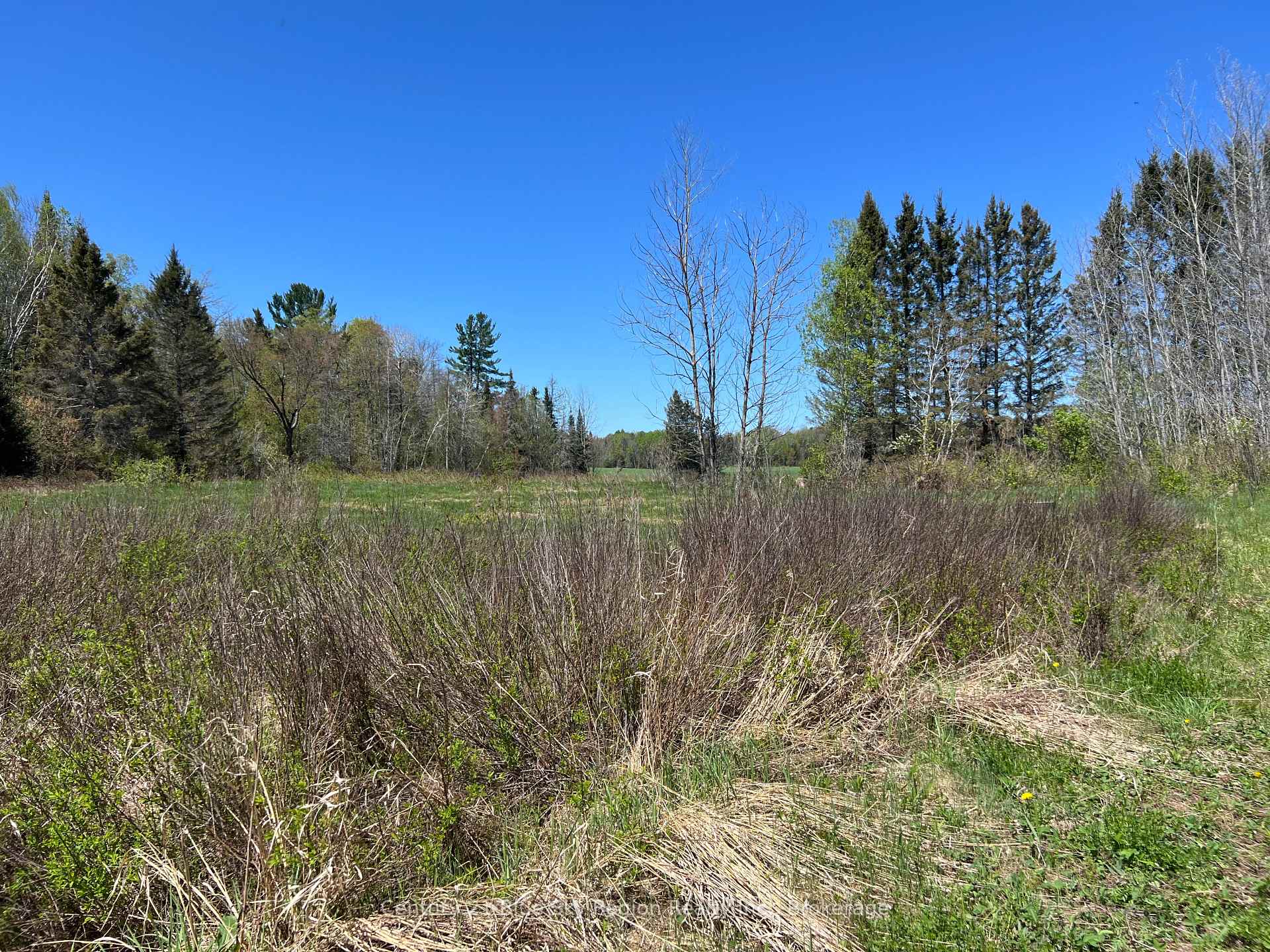Photo 7 of LOT 26 CON 9 Trunk Road, Bonfield — HOMEH