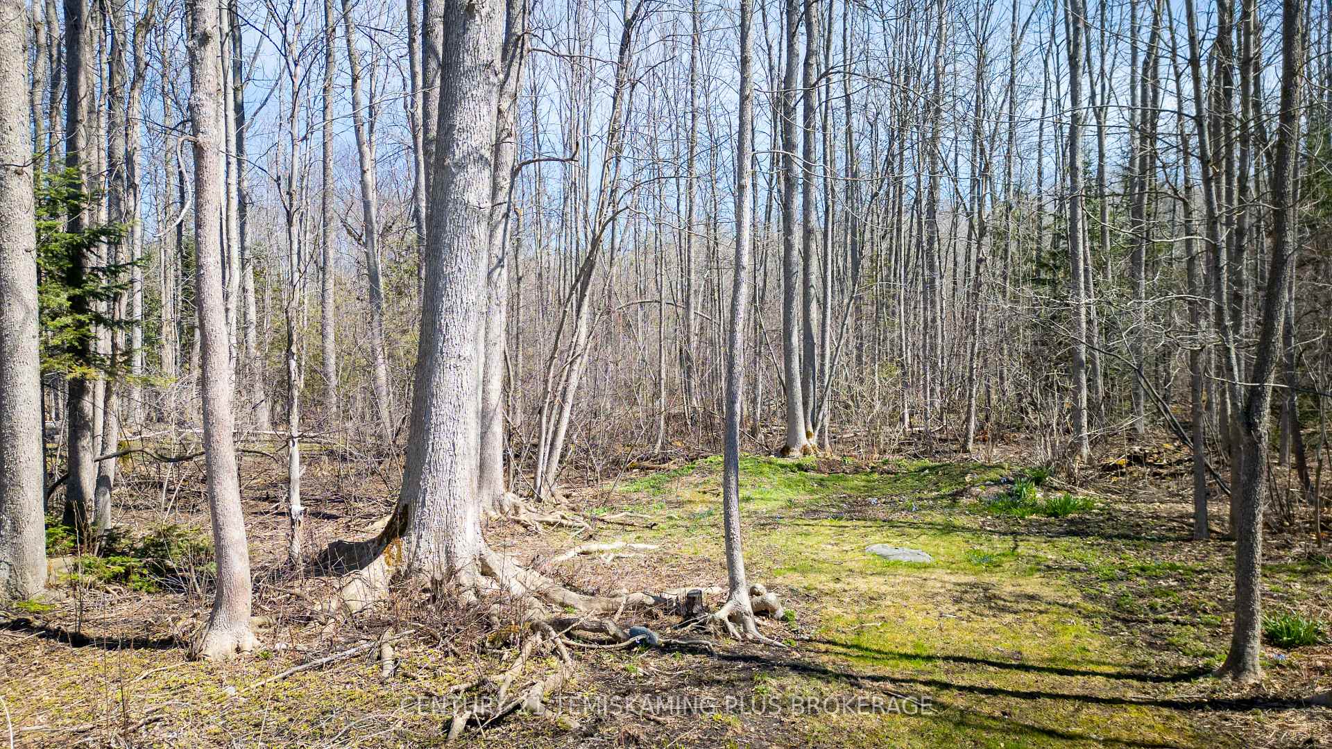 Photo 38 of 742411 Dawson Point Road, Timiskaming, TIM - Outside - Rural — HOMEH