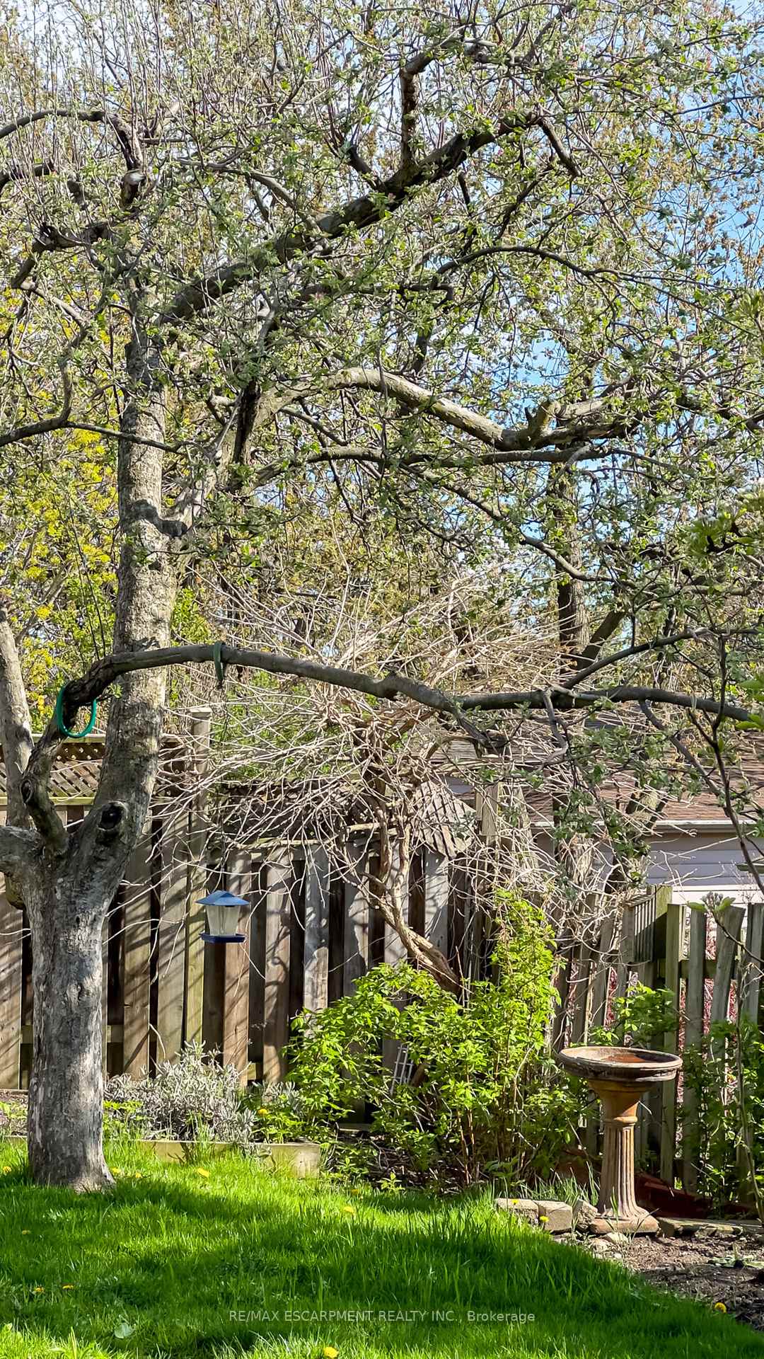 Photo 50 of 16 Billington Crescent, Hamilton, Berrisfield — HOMEH