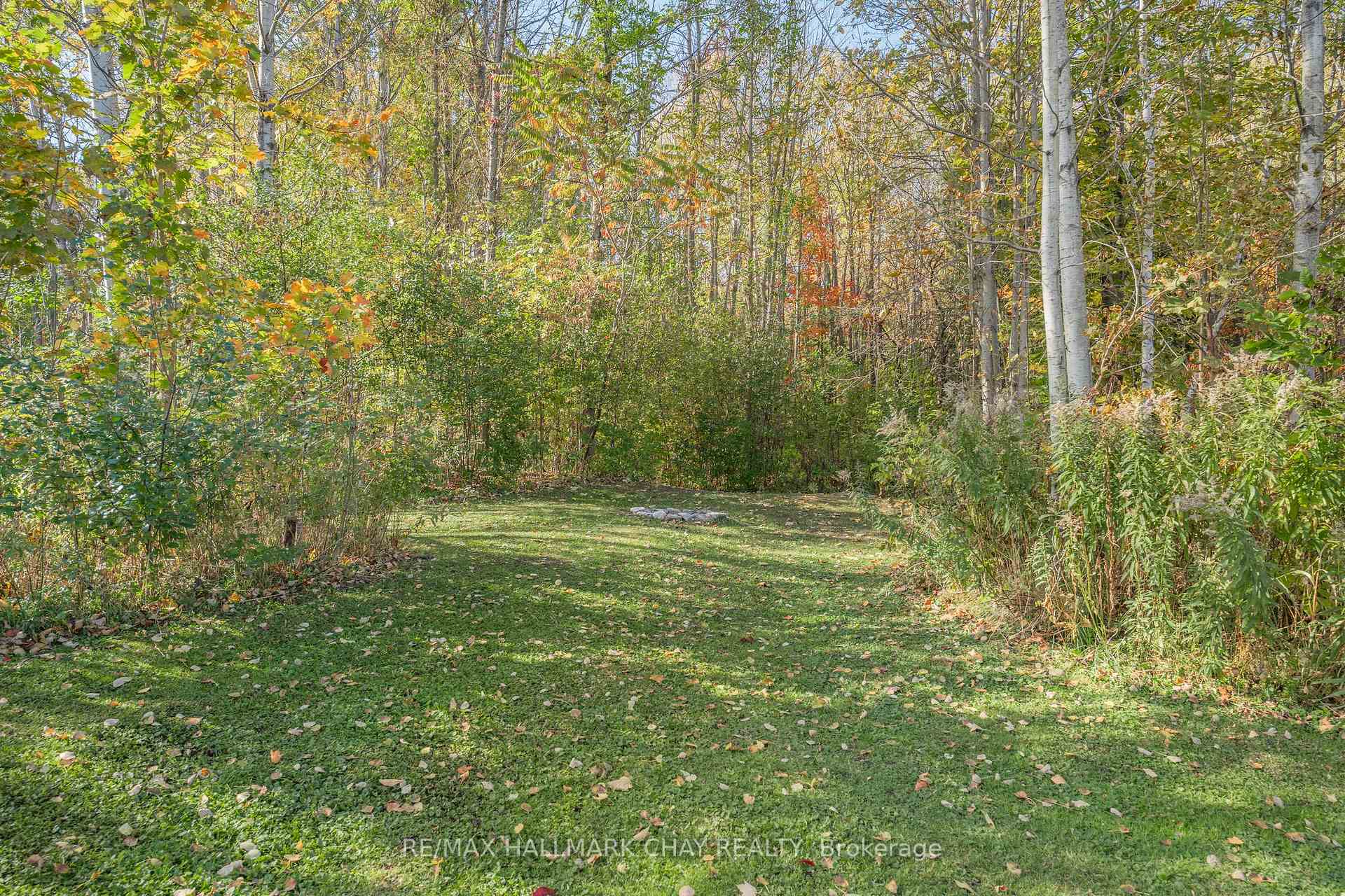 Photo 26 of 12984 County Road 16, Severn, Fesserton — HOMEH