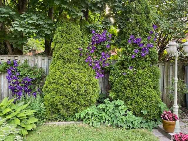 Photo 41 of 618 Vesta Drive, Toronto, Forest Hill North — HOMEH