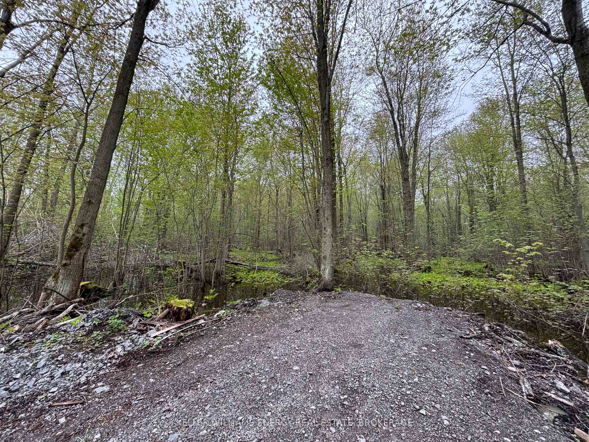 Photo 2 of PT LT 53-54 Con 2, Prince Edward County, Sophiasburg Ward — HOMEH