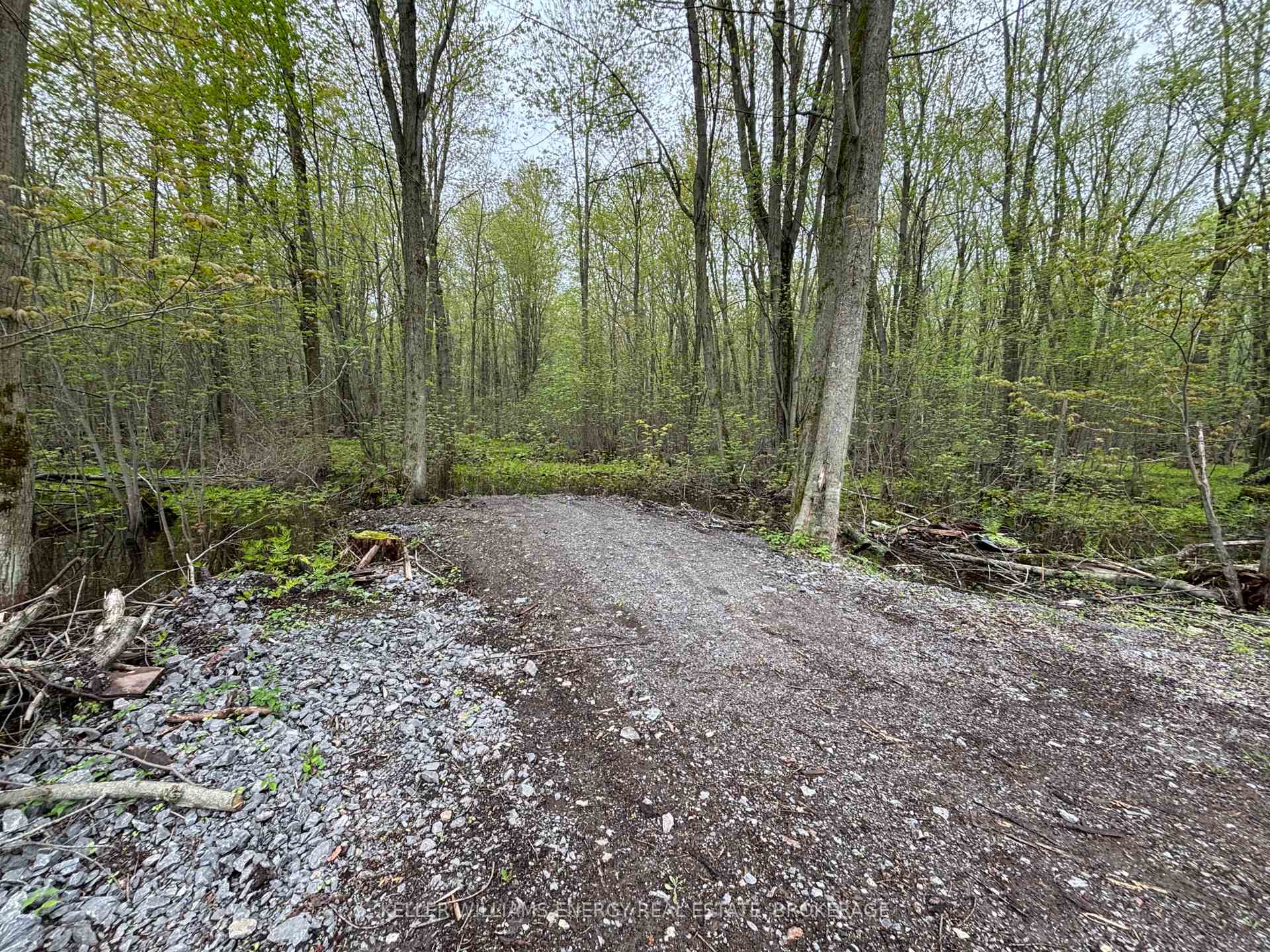 Photo 3 of PT LT 53-54 Con 2, Prince Edward County, Sophiasburg Ward — HOMEH